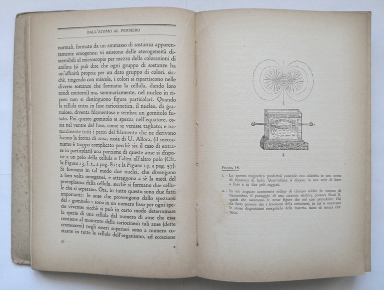 DALL'ATOMO AL PENSIERO di Guido Cremonese 1938 Edizioni Corbaccio Libro
