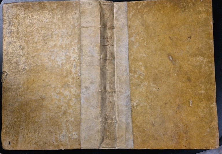 DE SCRIPTURA PRIVATA + DE ENUNCIATIVIS VERBIS Tractatus di NICOLAO …