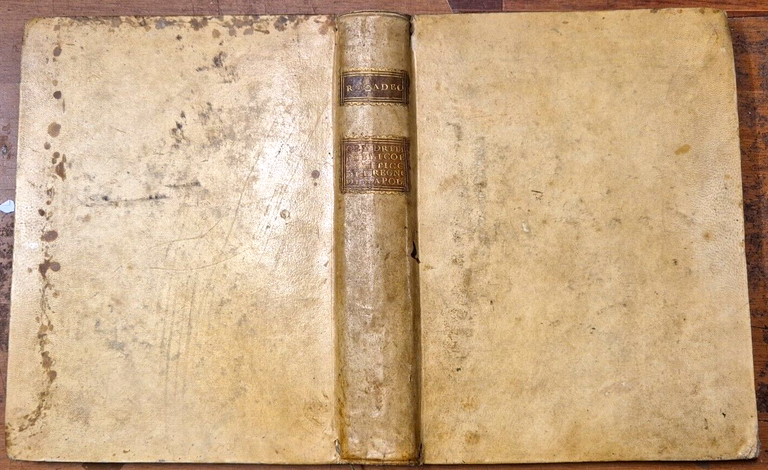 DEL DIRITTO PUBBLICO E POLITICO DEL REGNO DI NAPOLI di …