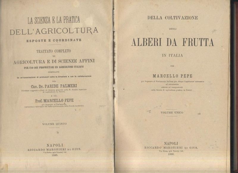 DELLA COLTIVAZIONE ALBERI DA FRUTTA IN ITALIA di Marcello Pepe …