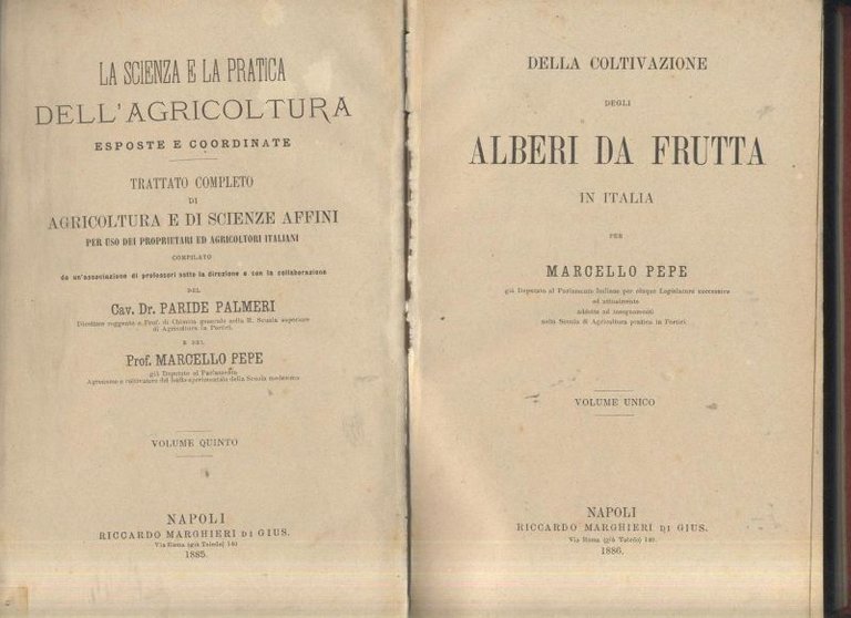 DELLA COLTIVAZIONE ALBERI DA FRUTTA IN ITALIA di Marcello Pepe 1886 Marghieri *