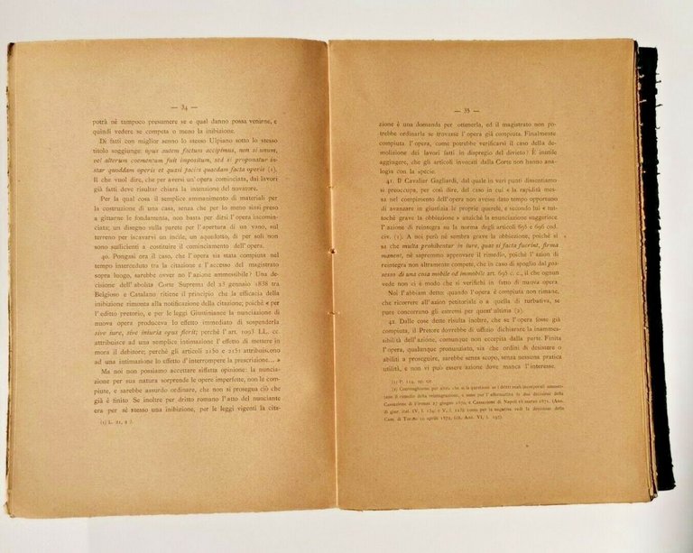 DENUNZIA DI NUOVA OPERA di Nicola Ricco azione danno temuto …