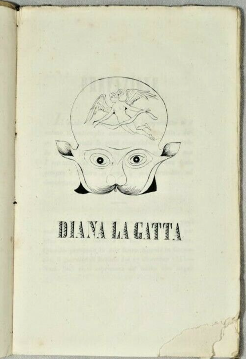 DIANA LA GATTA memoria archeologica del presidente Fenicia 1844 Ruvo … | Immagine Gallery 2