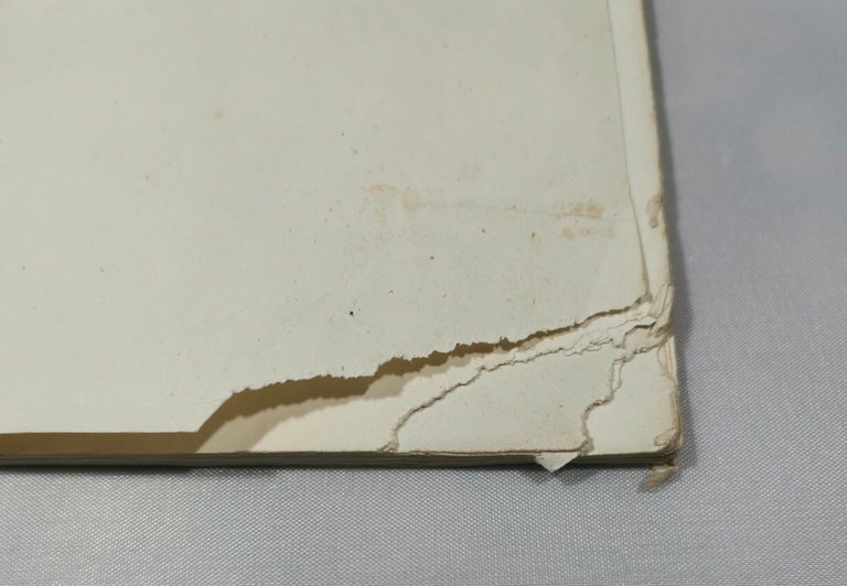 DIANA LA GATTA memoria archeologica del presidente Fenicia 1844 Ruvo …