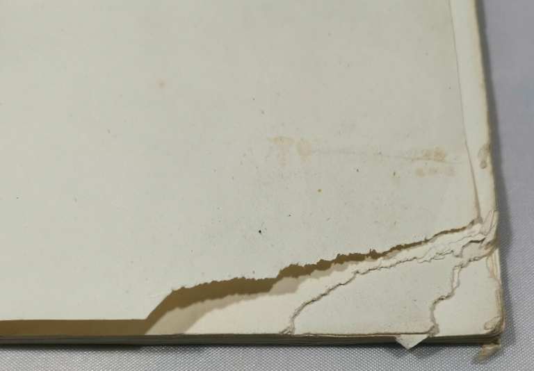 DIANA LA GATTA memoria archeologica del presidente Fenicia 1844 Ruvo … | Immagine Gallery 6