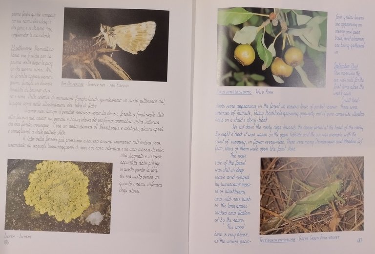 DIARY OF THE MURGIA HILLS DIARIO NATURALISTICO DALLA PUGLIA di …