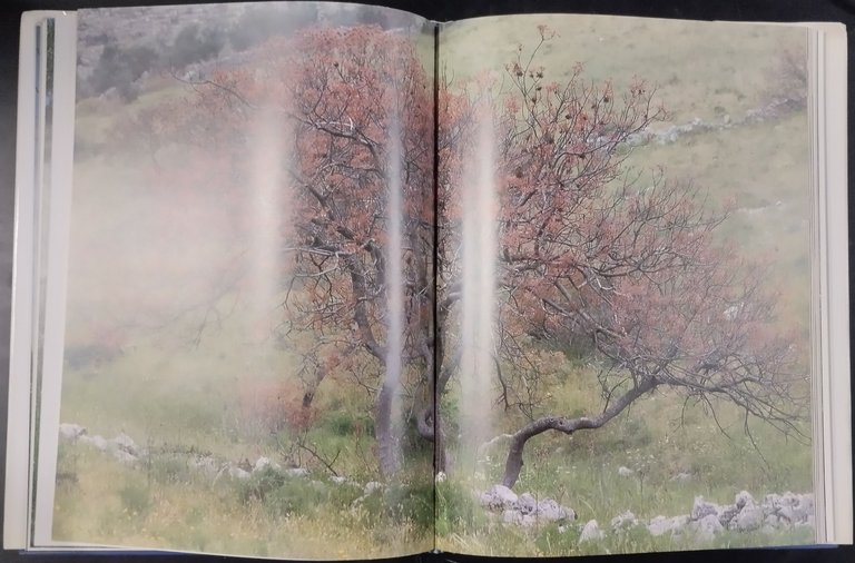 DIARY OF THE MURGIA HILLS DIARIO NATURALISTICO DALLA PUGLIA di …