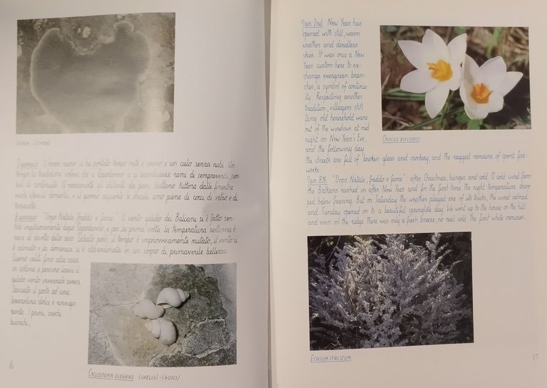DIARY OF THE MURGIA HILLS DIARIO NATURALISTICO DALLA PUGLIA di …