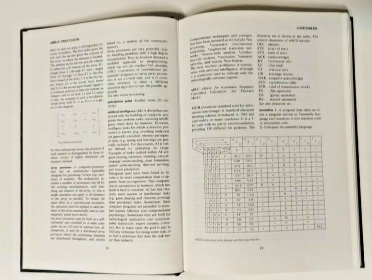 DICTIONARY OF COMPUTING Oxford Science Pubblication 1983 libro informatica