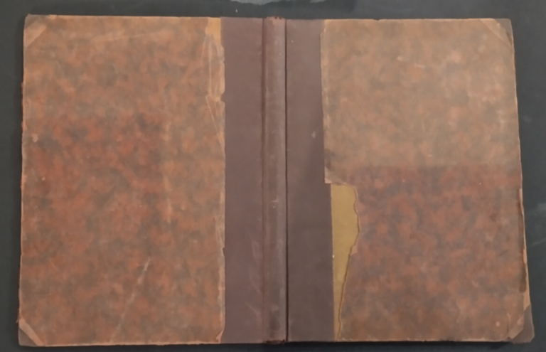DIE KUNSTSCHULE 1920 annata completa Willibald Krain Rivista di arte …