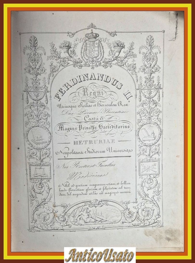 DIPLOMA DI LAUREA IN MEDICINA Antico Regno due Sicilie 1853 … | Immagine principale