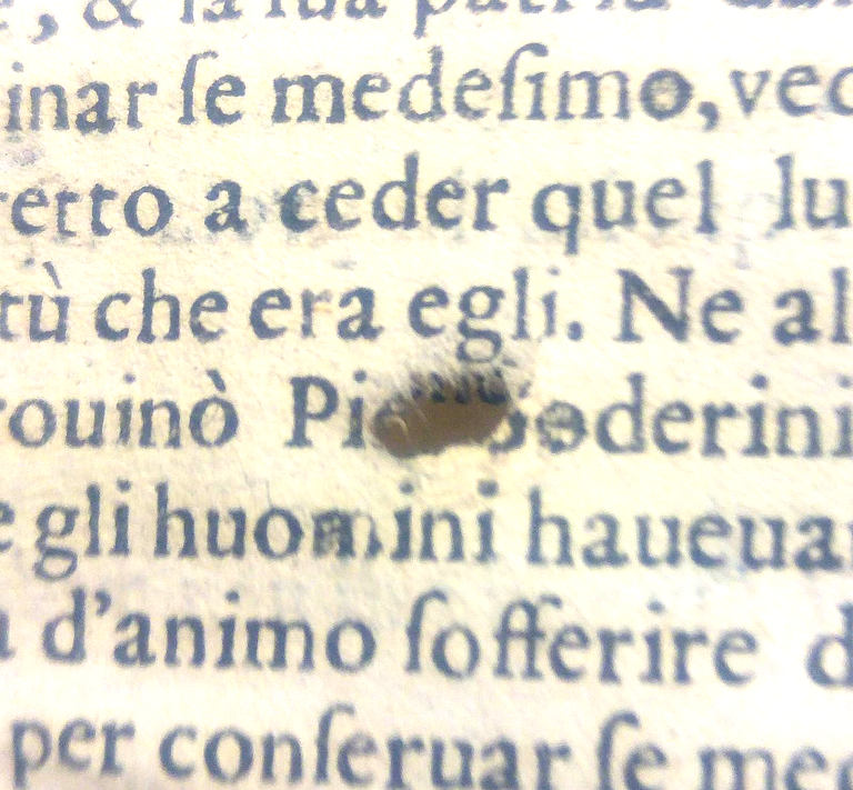 Discorsi Del Signor Scipione Ammirato Sopra Cornelio Tacito 1599 Libro …