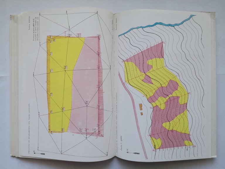 DISEGNO TOPOGRAFICO di Aminto Agostini 1967 Hoepli libro manuale con …