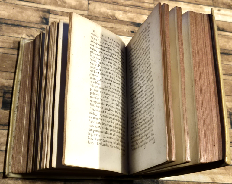 DISSERTATIO DE FOENORE TRAPEZITICO di Claudio Salmasio 1640 Officina Maire …