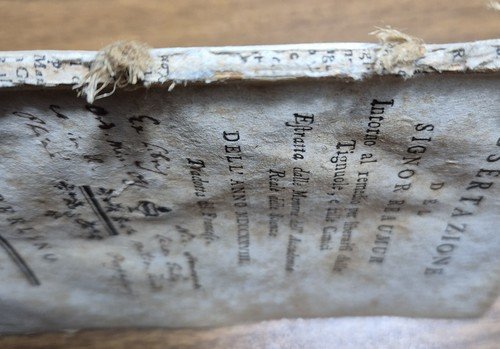 DISSERTAZIONE AL REMEDIO PER LIBERARSI DALLE CIMICI TARLE di Reaumur …