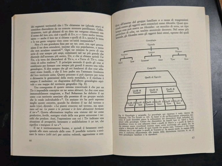 DIVENTARE DEA di Bruce Lincoln 1983 Edizioni di Comunità Libro …