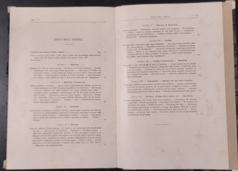 DIVERSI APPARECCHI ORCHIDEE FECONDATE DAGLI INSETTI di C Darwin 1883 …