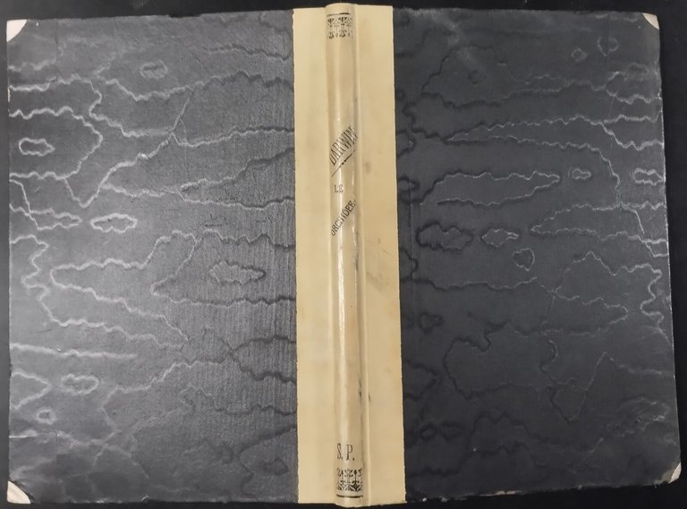 DIVERSI APPARECCHI ORCHIDEE FECONDATE DAGLI INSETTI di C Darwin 1883 …