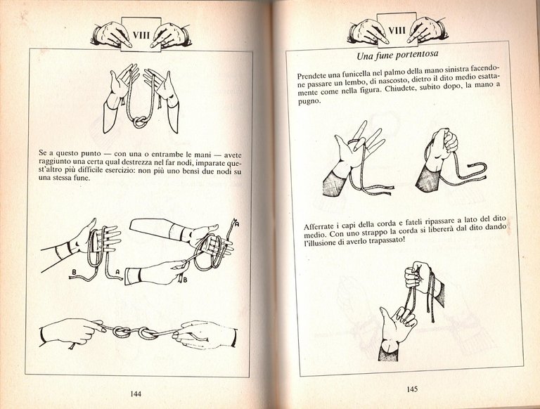 DIVERTIRE MERAVIGLIANDO di F Riccardi J Xuref 1986 Albero Libro …