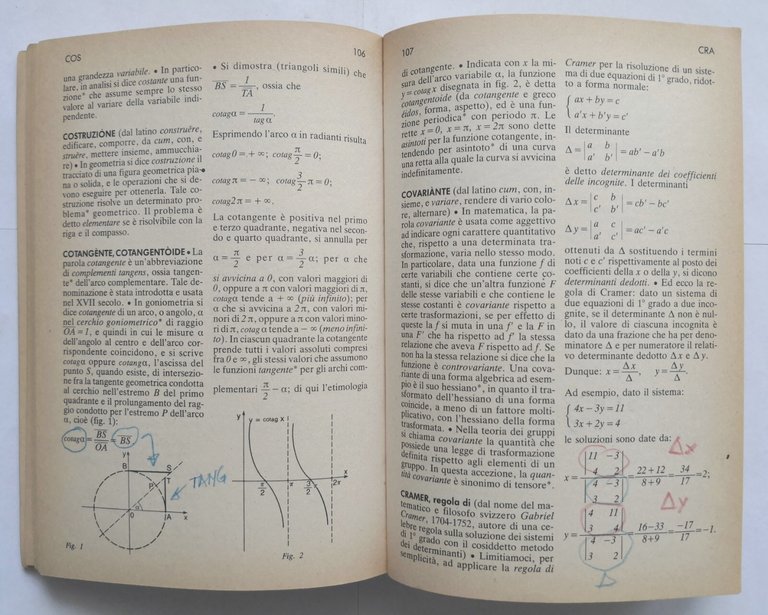 DIZIONARIO DEI TERMINI MATEMATICI di Alfredo Piccato 1987 Rizzoli Libro …