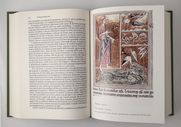 DIZIONARIO DELL'OCCIDENTE MEDIEVALE di Le Goff e Schmitt Volume II …