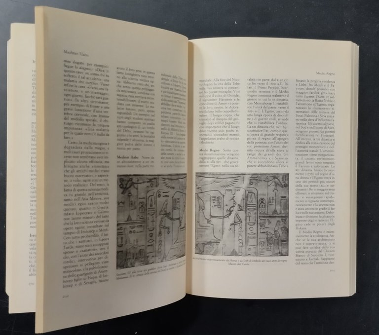 DIZIONARIO DELLA CIVILTÀ EGIZIA a cura di Posener Sauneron e …