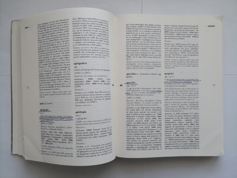 DIZIONARIO DELLA TERMINOLOGIA FILOLOGICA di Yorick Gomez Gane 2013 Libro