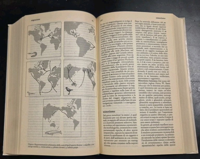 DIZIONARIO DI ETOLOGIA diretto da Danilo Mainardi 1992 I edizione …