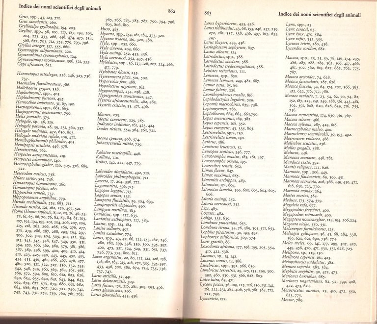 DIZIONARIO DI ETOLOGIA diretto da Danilo Mainardi 1992 I edizione …