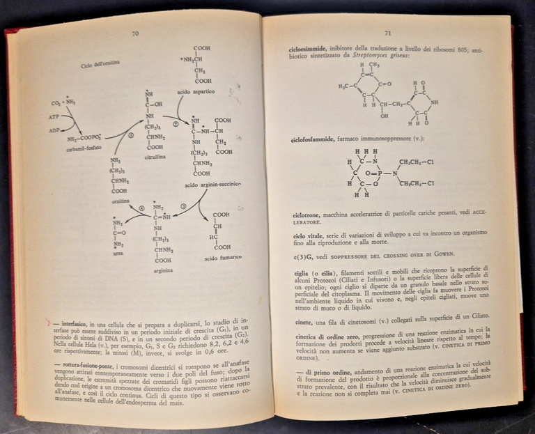 DIZIONARIO DI GENETICA di Robert King 1974 ISEDI Libro Manuale
