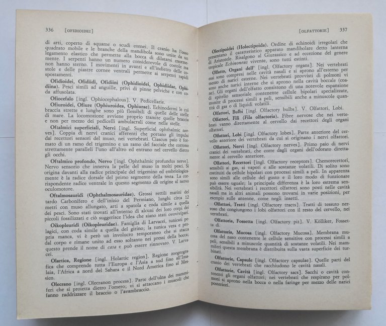 DIZIONARIO DI ZOOLOGIA Leftwich 1975 Newton Compton libro concetti fondamentali