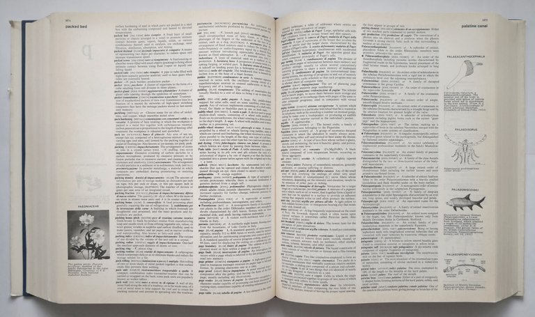 DIZIONARIO ENCICLOPEDICO SCIENTIFICO E TECNICO INGLESE ITALIANO 1985 Zanichelli