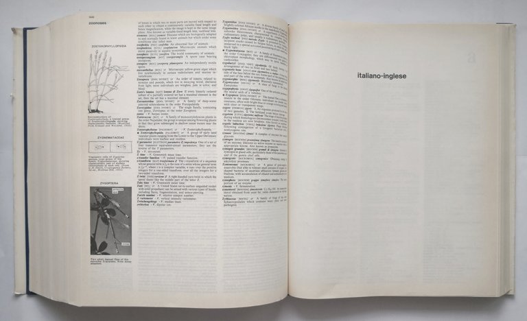 DIZIONARIO ENCICLOPEDICO SCIENTIFICO E TECNICO INGLESE ITALIANO 1985 Zanichelli