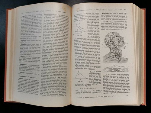 DIZIONARIO ILLUSTRATO DELLE SCIENZE PURE E APPLICATE VOLUME 1 (a …