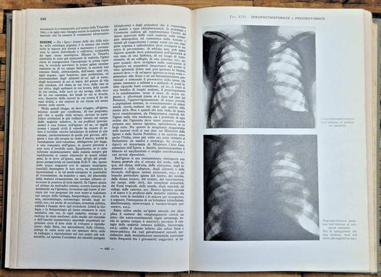 DIZIONARIO MEDICO SCIENTIFICO DIVULGATIVO di Luigi Segatore 1967 De Agostini | Immagine Gallery 3