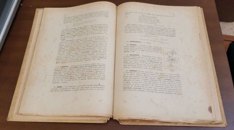 DIZIONARIO RAGIONATO DEI SIMBOLI di Giovanni Cairo 1930? Hoepli libro …