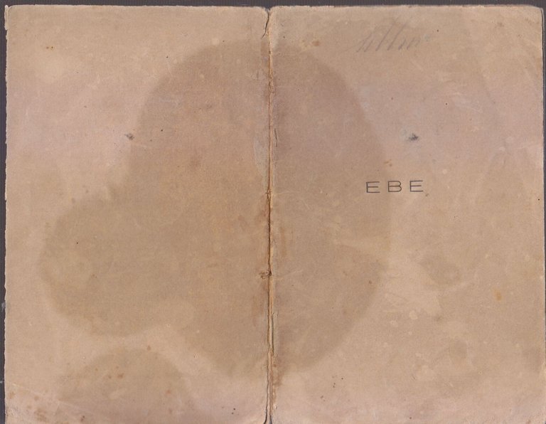 EBE di Aleandro Trifone Nutricati Briganti 1876 Libro Poesie Plaquette …