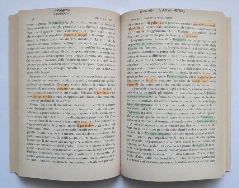 ECOLOGIA di Alberto Simonetta 1975 Paolo Boringhieri Libro scientifico