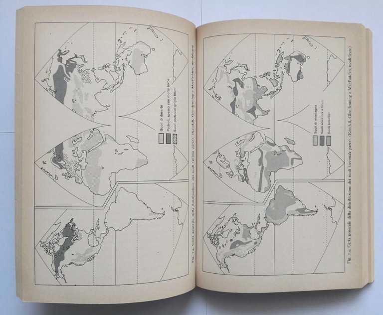 ECOLOGIA di Alberto Simonetta 1975 Paolo Boringhieri Libro scientifico
