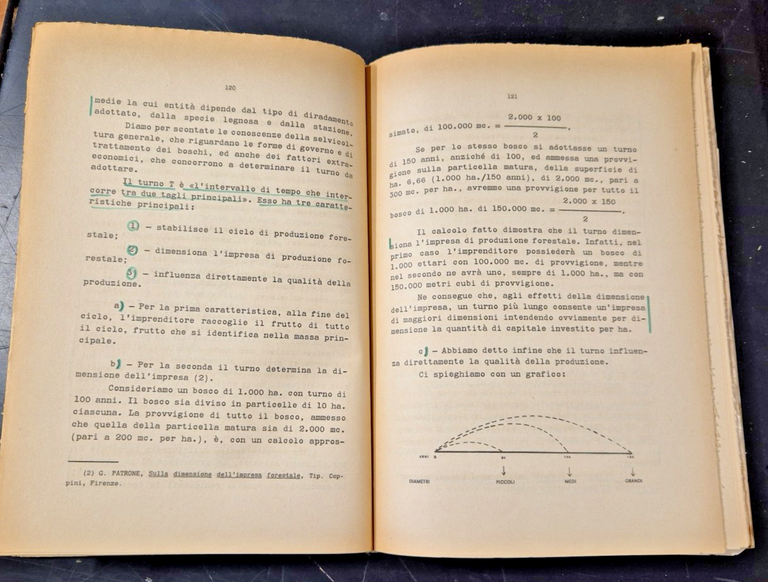 ECONOMIA MONTANA E FORESTALE di Mario Greco 1971 Cacucci Libro … | Immagine Gallery 2