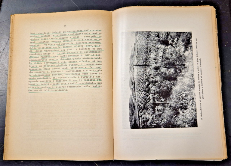ECONOMIA MONTANA E FORESTALE di Mario Greco 1971 Cacucci Libro … | Immagine Gallery 3