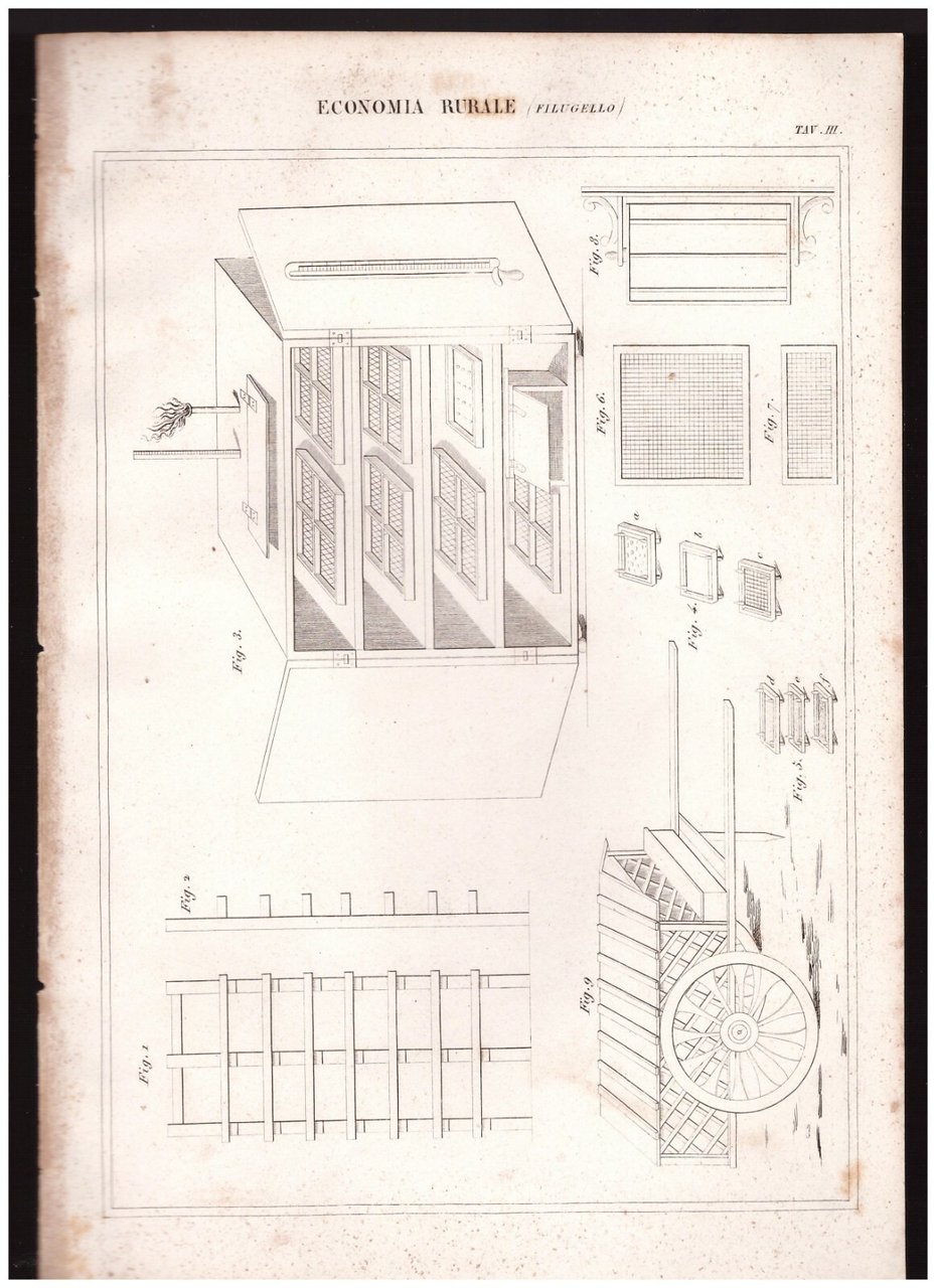 ECONOMIA RURALE Filugello tavola III INCISIONE STAMPA RAME 1866 disegno
