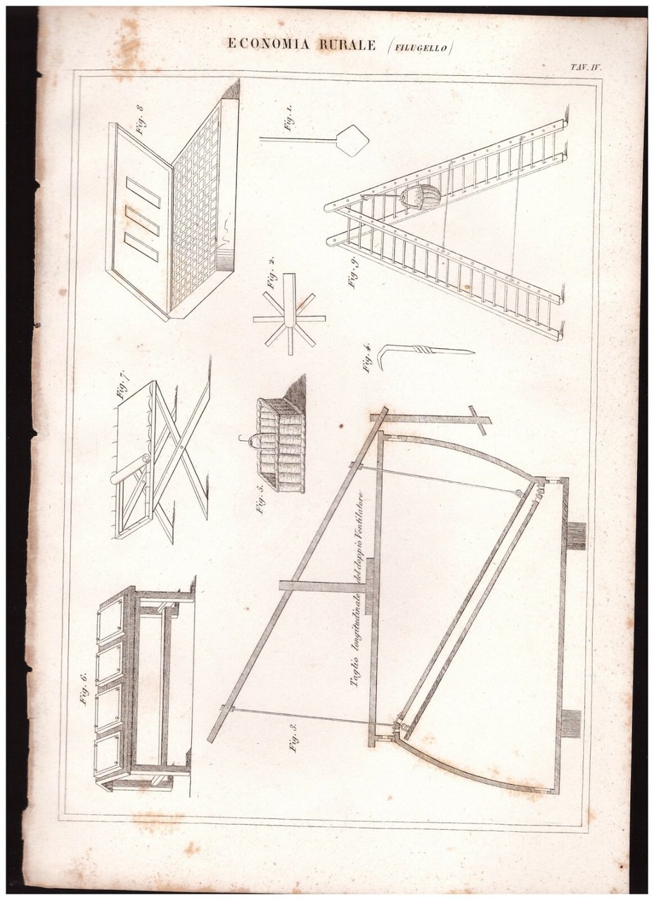 ECONOMIA RURALE Filugello tavola IV INCISIONE STAMPA RAME 1866 disegno
