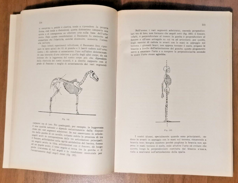 EDUCAZIONE FISICA E SPORT di Sabino Giuliano 1962 Libro Aspetti …
