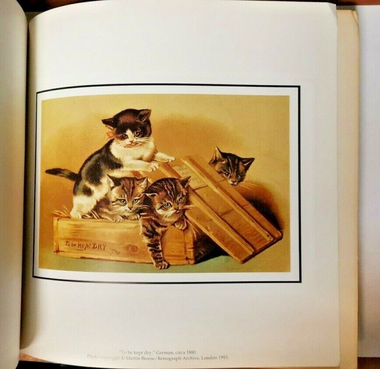 EDWARDIAN CATS & KITTENS 1993 Cameo collection libro gatti immagini …