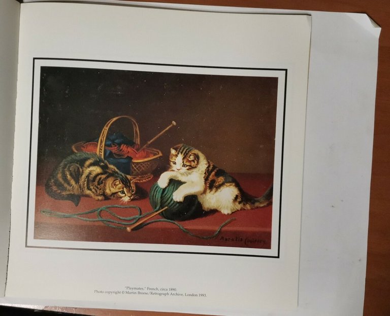 EDWARDIAN CATS & KITTENS 1993 Cameo collection libro gatti immagini …