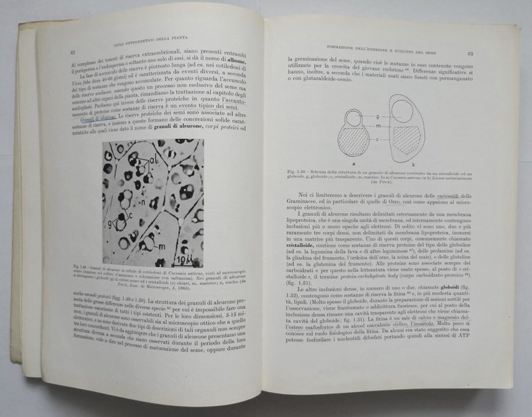 ELEMENTI DI BIOLOGIA VEGETALE Oreste Arrigoni 1973 Ambrosiana libro botanica