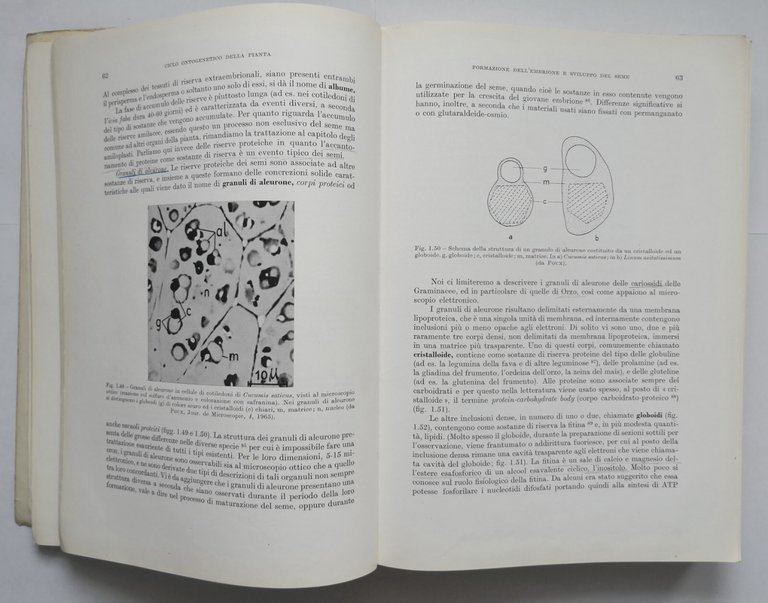 ELEMENTI DI BIOLOGIA VEGETALE Oreste Arrigoni 1973 Ambrosiana libro botanica | Immagine Gallery 8