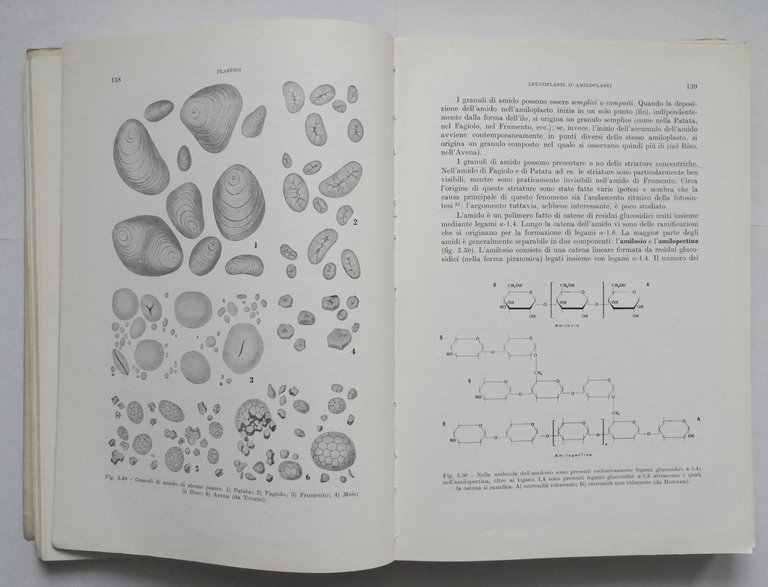 ELEMENTI DI BIOLOGIA VEGETALE Oreste Arrigoni 1973 Ambrosiana libro botanica
