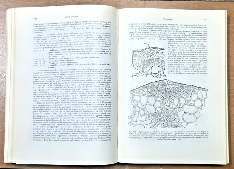 ELEMENTI DI BOTANICA di Sergio Tonzig Volume II 1968 Ambrosiana … | Immagine Gallery 3